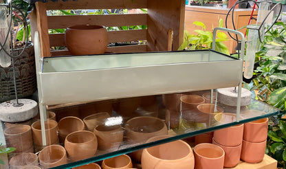 Minty Planter