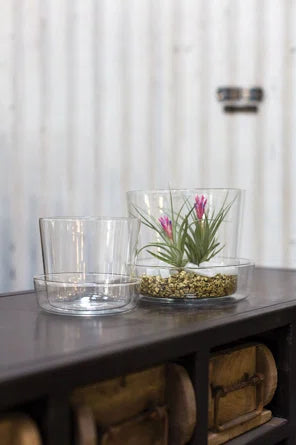 hour glass plant pot Glass Pot with Saucer
