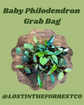 BABY PHILODENDRON GRAB BAG!