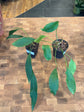 Anthurium Gracile