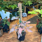 Reverted Syngonium Red Spot Tri Color w/ Moss Pole