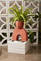 Jacinto Planter