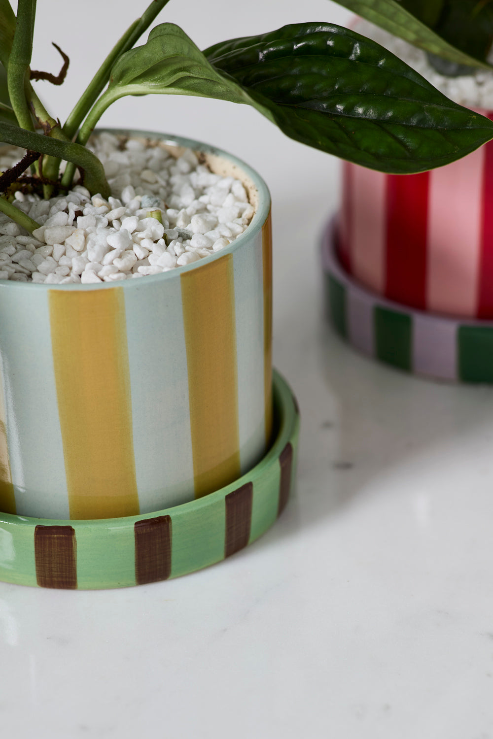 Joyelle Pot with Saucer