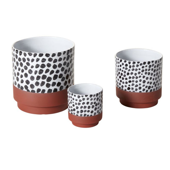 Lassen Pot