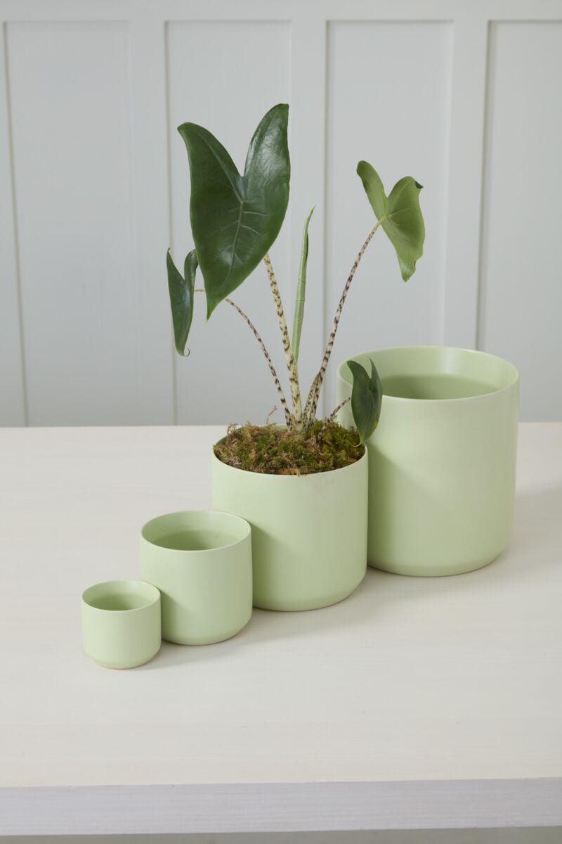 Round Light Green Pot