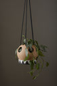 Liko Hanging Planter