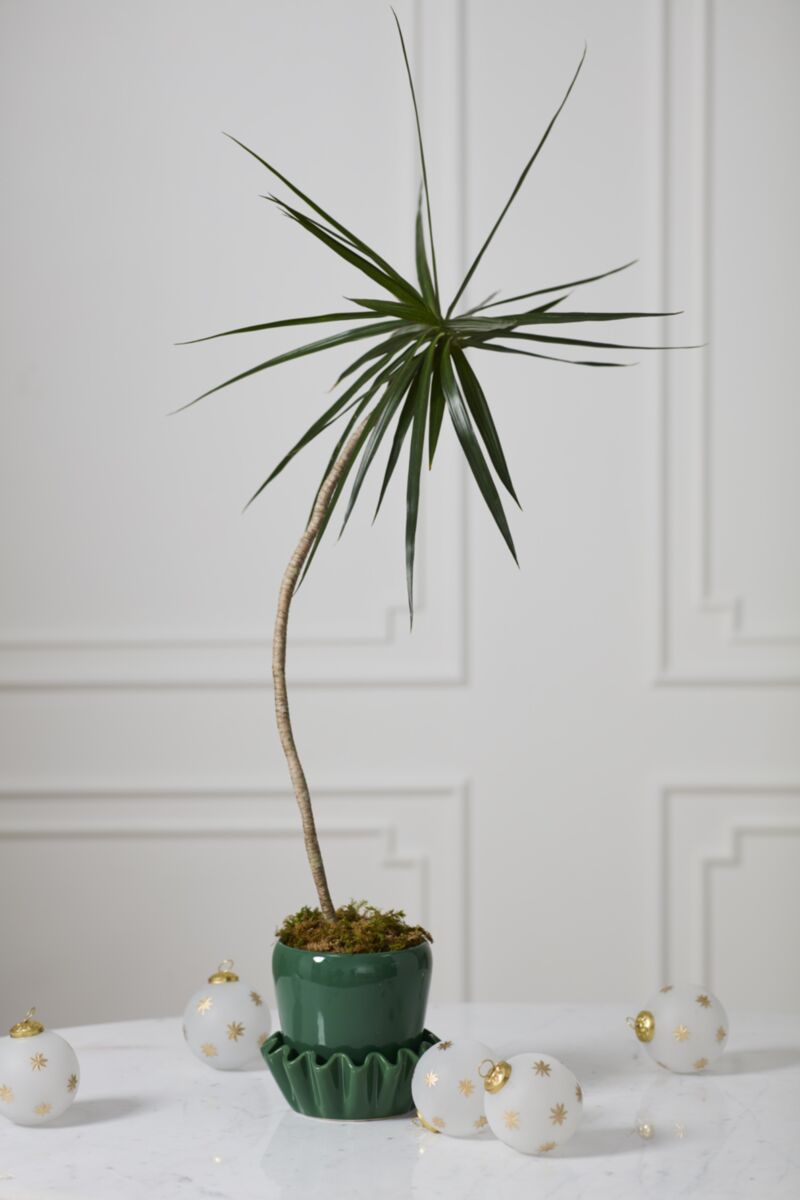 Lorelai Pot with Saucer