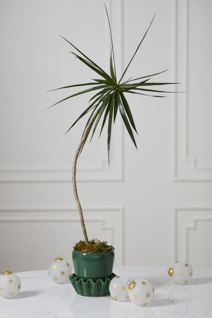 Lorelai Pot with Saucer