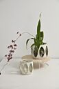 Minka Orchid Pot