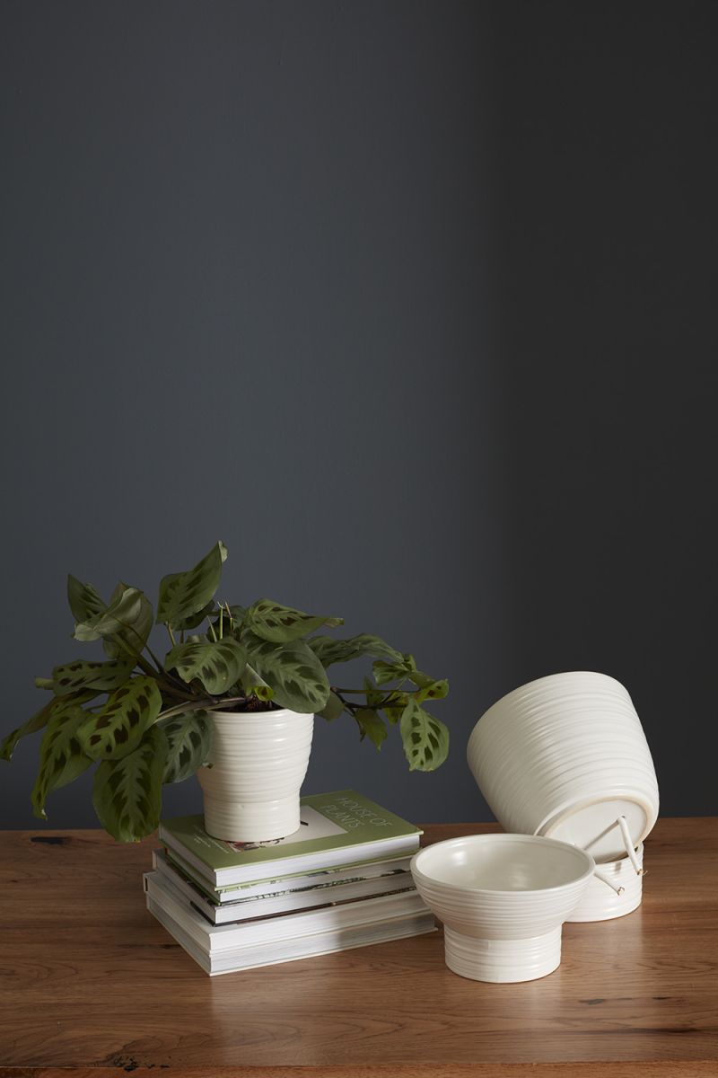 Olin Self-Watering Pot