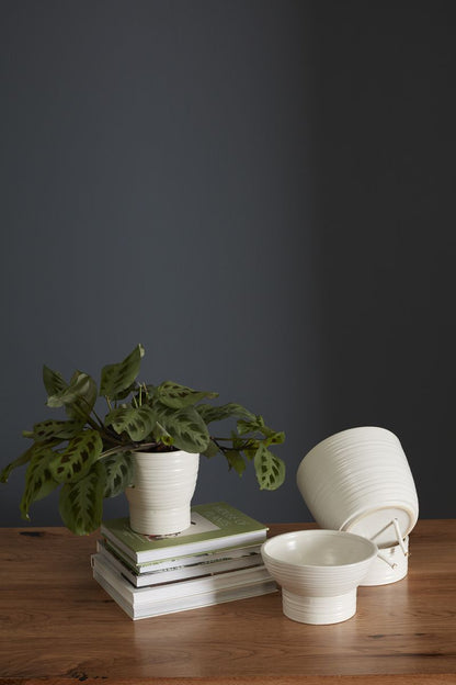 Olin Self-Watering Pot