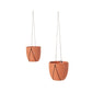 Palma Hanging Pot