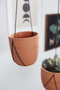 Palma Hanging Pot