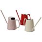 Patsy Watering Can