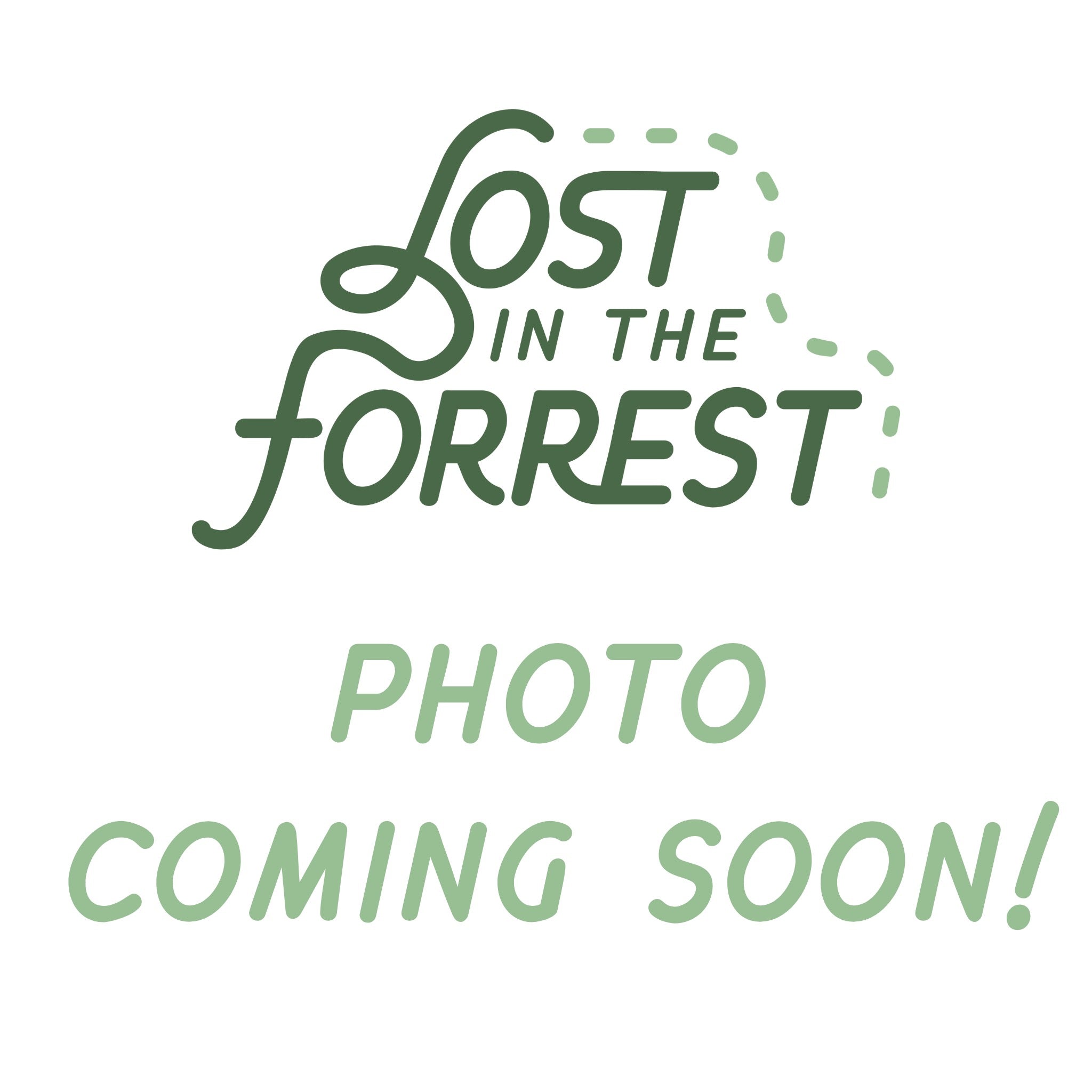 Aglaonema Garnet Coltrane