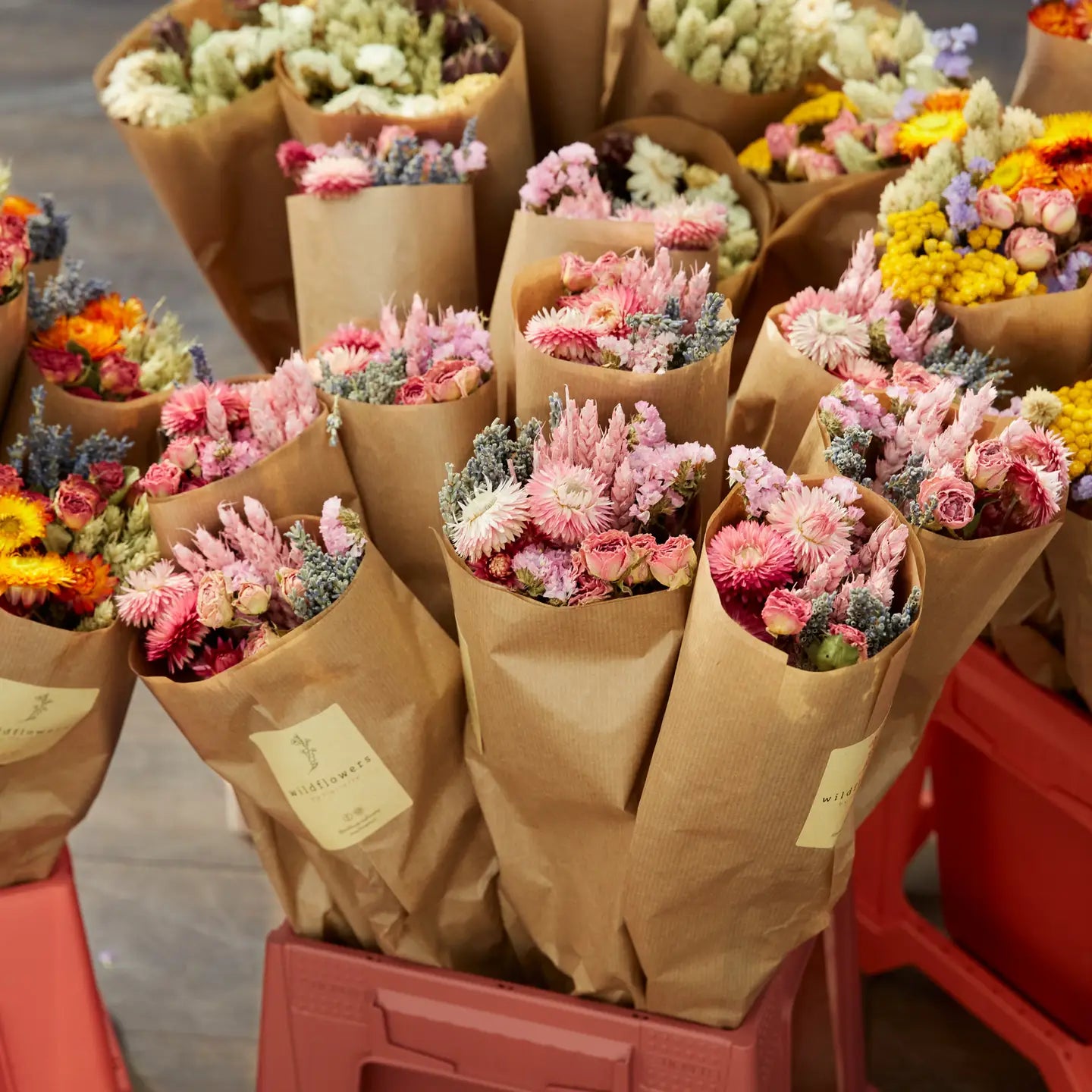 Dried Flowers Pink