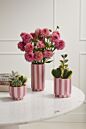 Pink Striped Collection