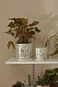 Plant Lady Pot with Saucer