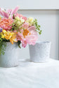 Priscella Pot