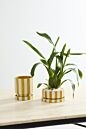 Saffron Pot with Saucer