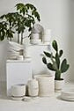 Salvage Pot with Saucer