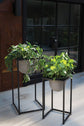 Scout Plant Stand and Pot