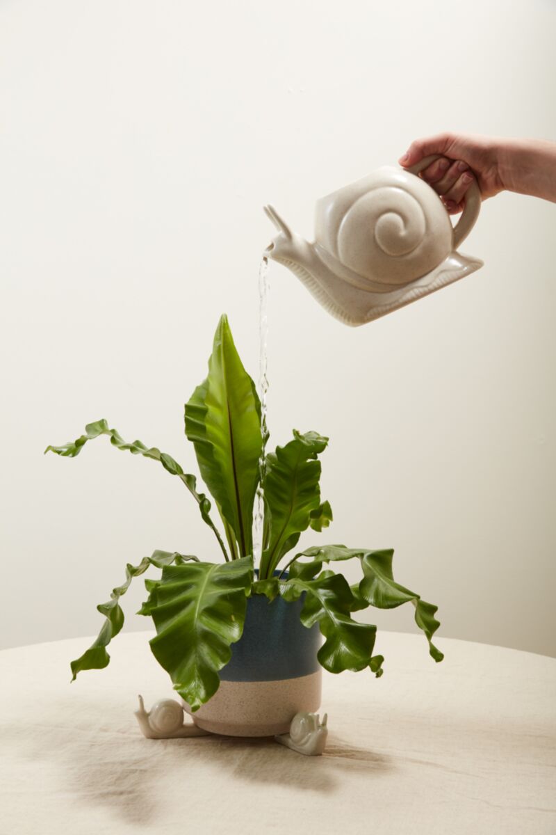 Slowpoke Watering Can
