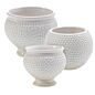 Spotti Pot