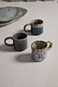 Starling Mug