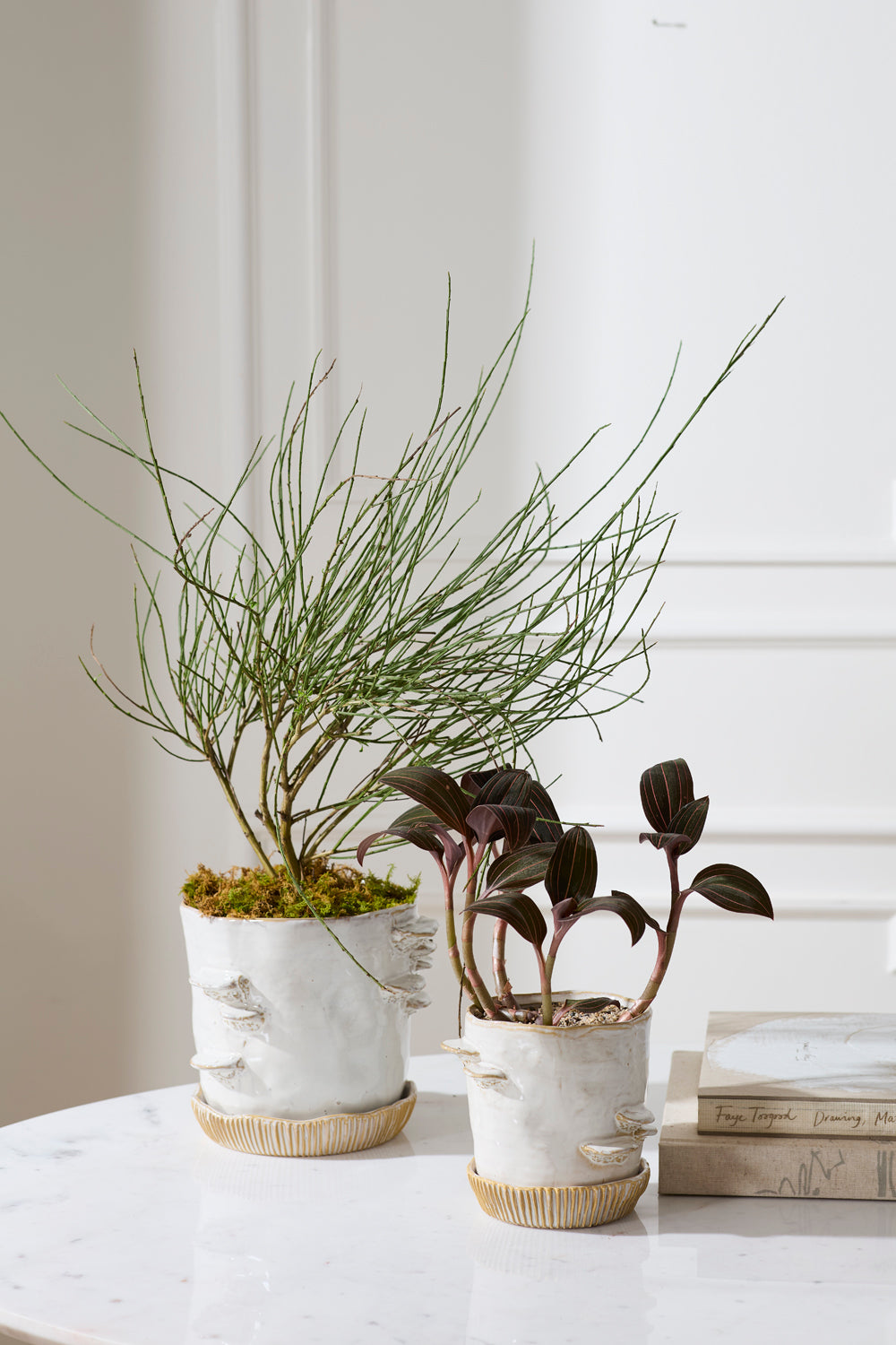 Stepped Mushroom Pot with Saucer