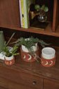Sumati Pot with Saucer