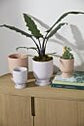 Tarrytown Pot with Saucer