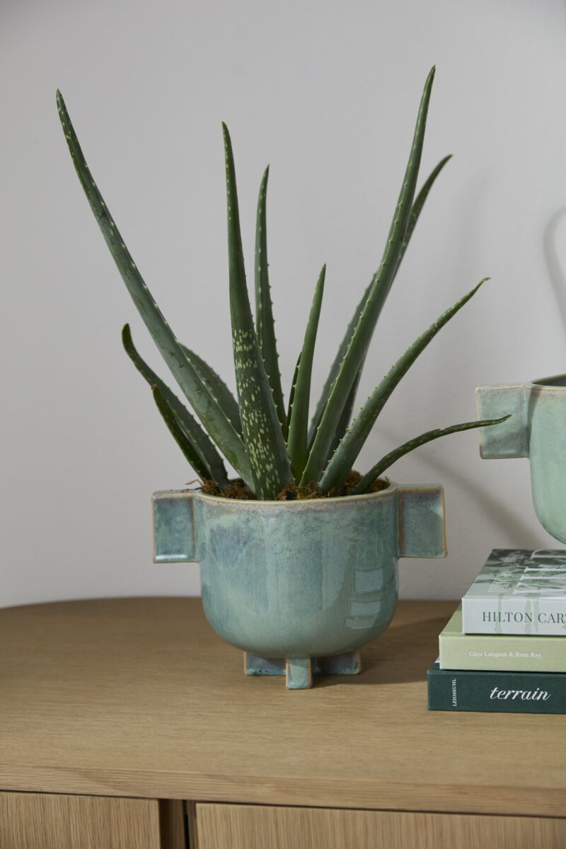 Trothos Pot