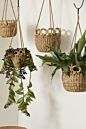 Verse Hanging Basket