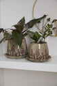 Wild Mushroom Pot
