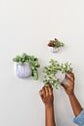 Wim Wall Planter