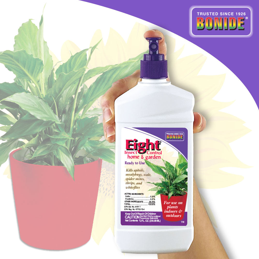 Bonide Eight Houseplant Insect Spray