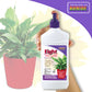 Bonide Eight Houseplant Insect Spray