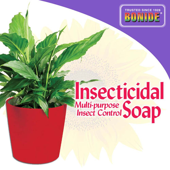 Bonide Insecticidal Soap