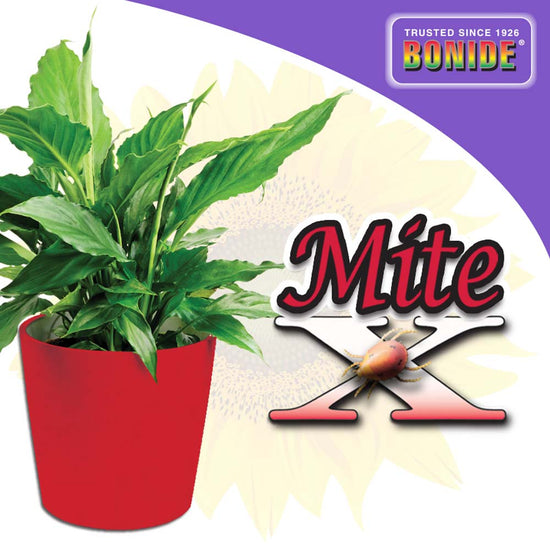 Bonide Mite-X