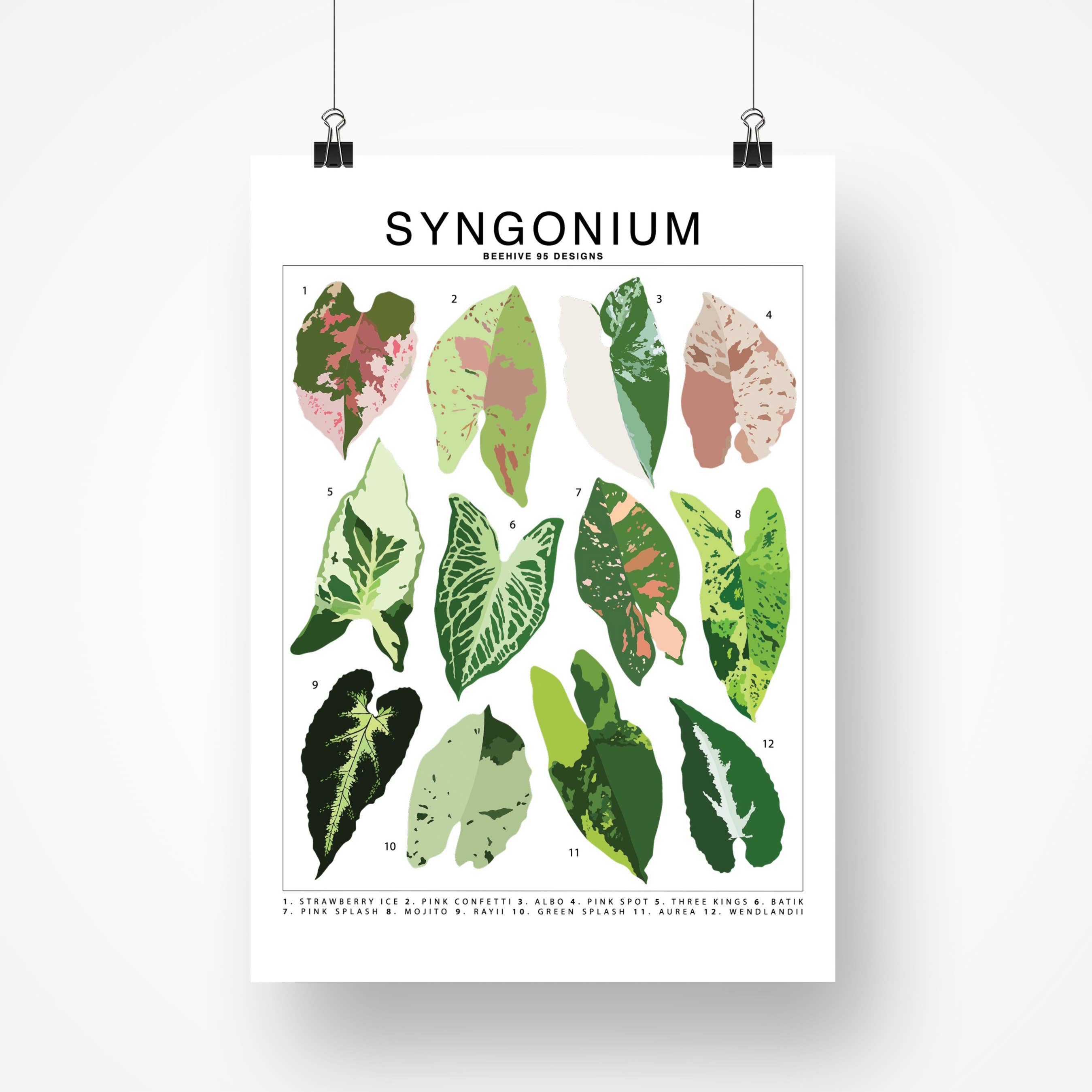 Species ID Chart - Botanical Houseplant Art Print