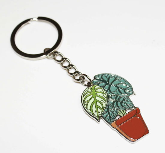 Alocasia Silver Dragon Pin
