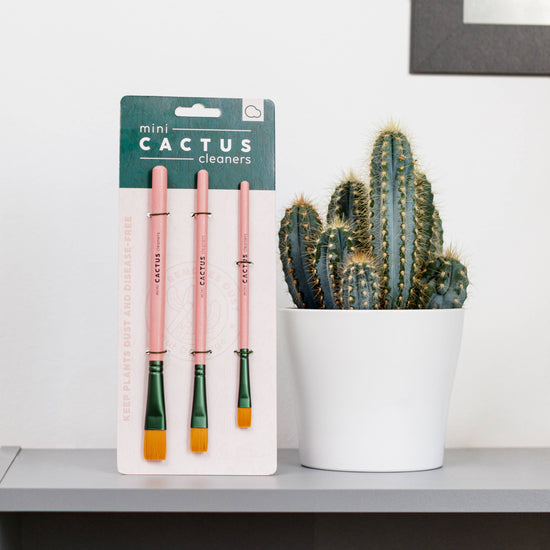 Mini Cactus Cleaner Brushes