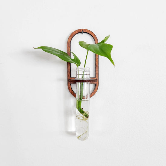 Wall Hanging Propagation Station - Oval Test Tube Holder