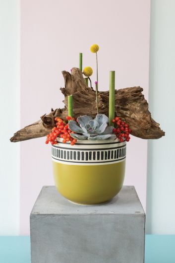 Kiwi Pot