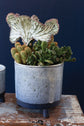 Lova Footed Pot