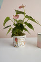 Matriarch Pot
