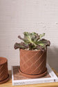 Mittani Pot
