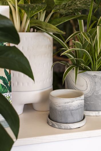Marengo Pot