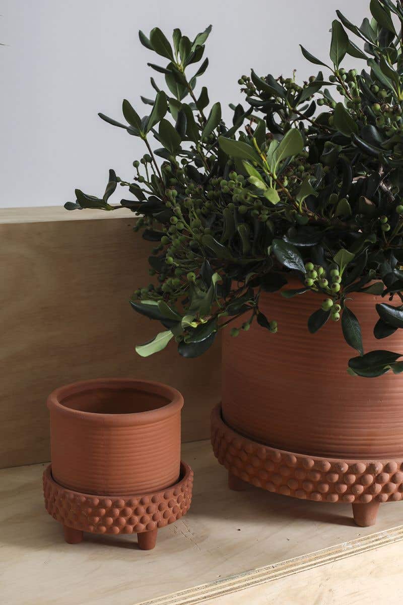 Jane Footed Pot